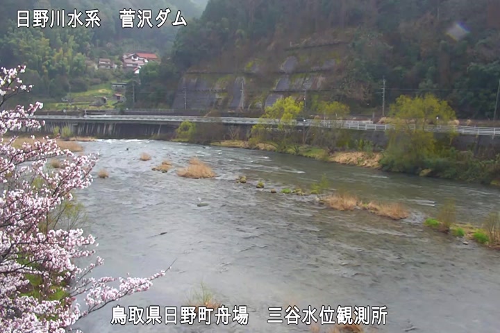 三谷水位観測所