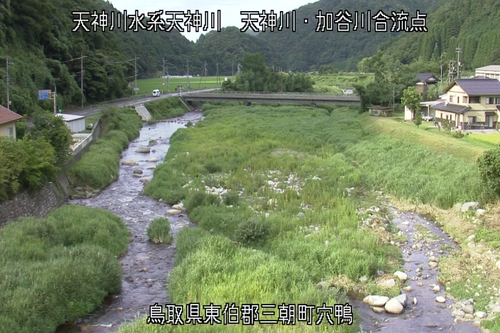 天神川・加谷川合流点