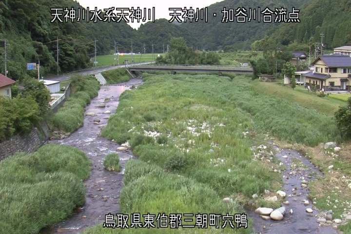 天神川・加谷川合流点