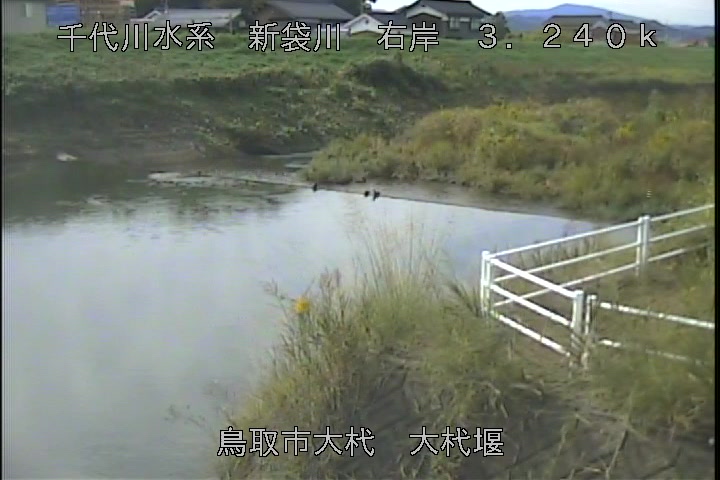 大杙堰