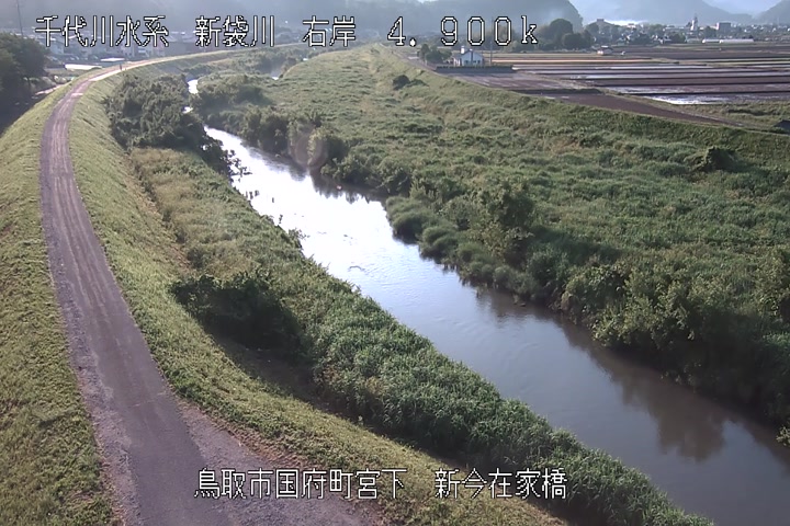 新今在家橋