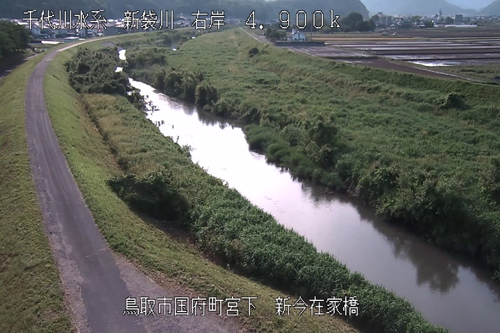 新今在家橋