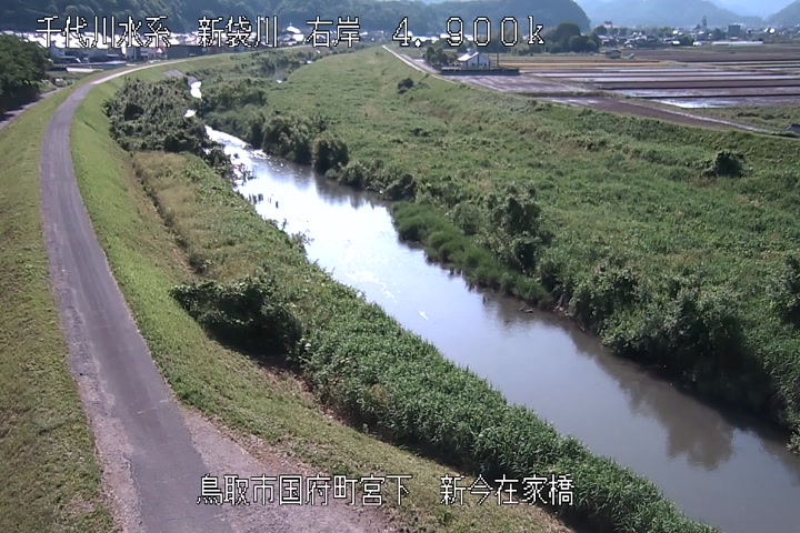 新今在家橋