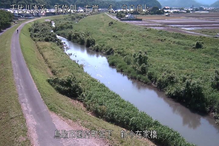 新今在家橋