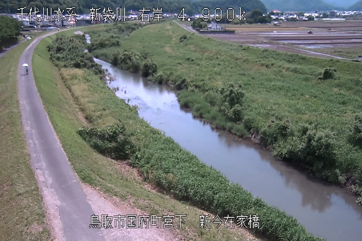 新今在家橋