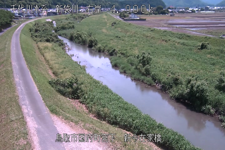 新今在家橋