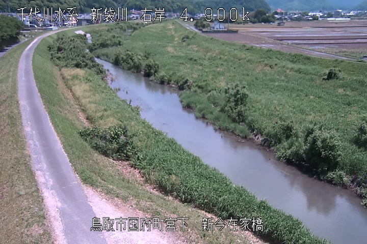 新今在家橋