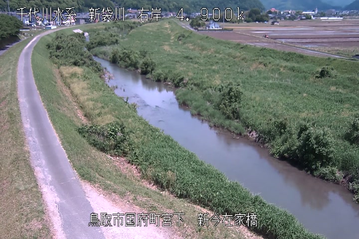 新今在家橋