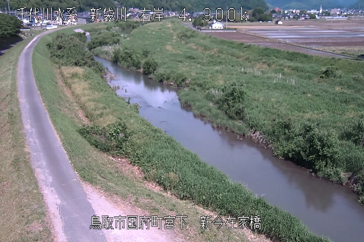 新今在家橋