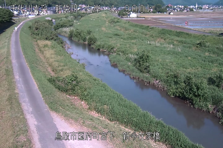 新今在家橋