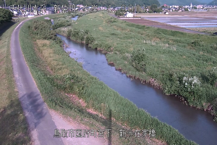 新今在家橋