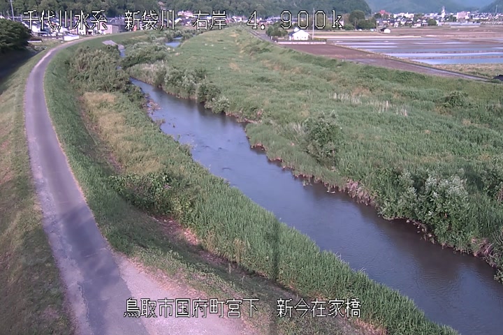 新今在家橋