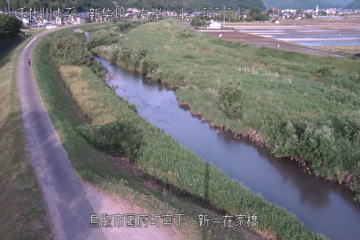 新今在家橋