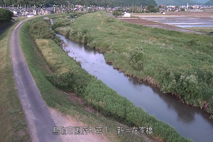 新今在家橋