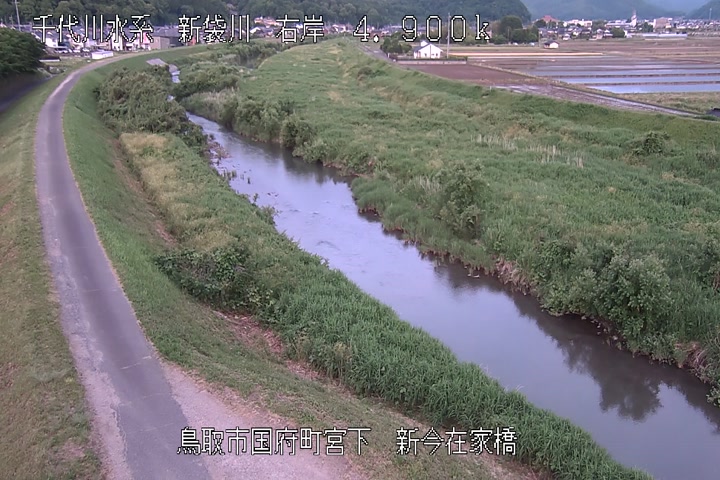 新今在家橋