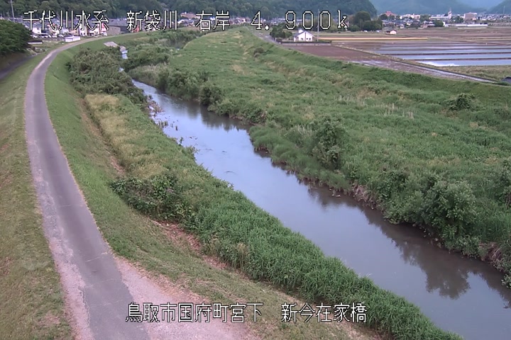 新今在家橋