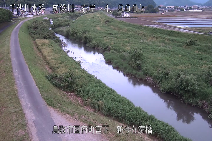 新今在家橋