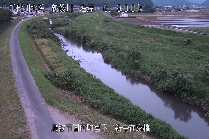 新今在家橋