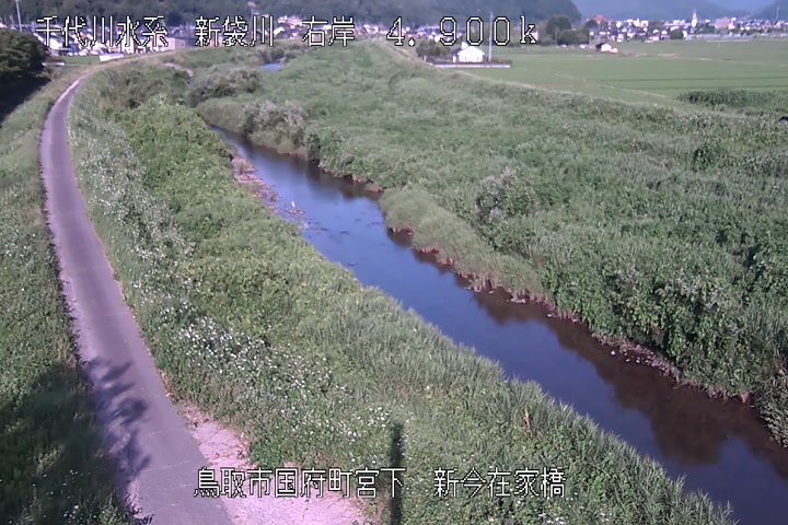 新今在家橋