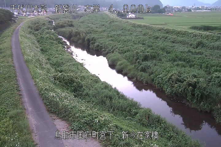 新今在家橋