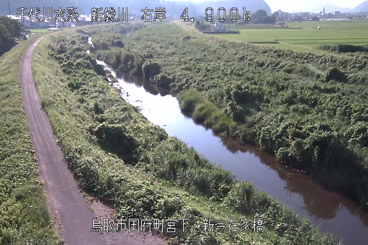 新今在家橋