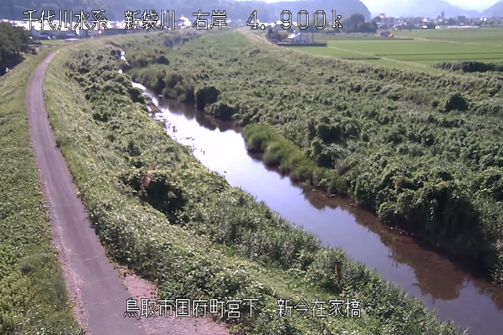 新今在家橋