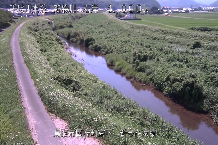 新今在家橋