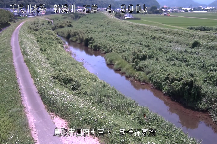 新今在家橋
