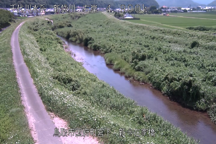 新今在家橋