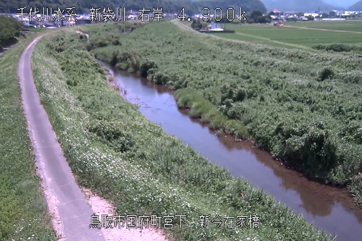新今在家橋
