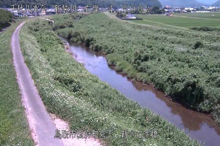 新今在家橋