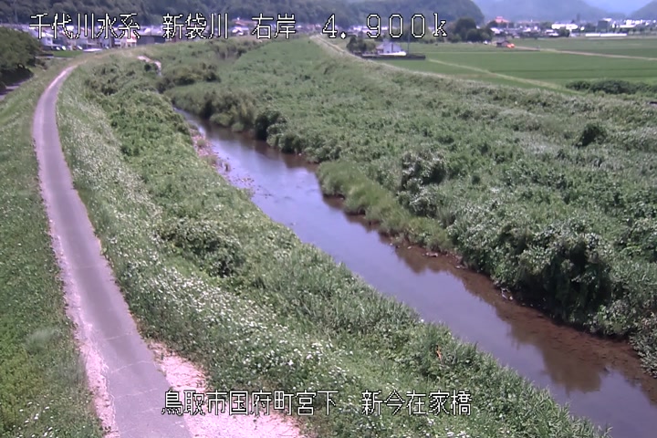 新今在家橋