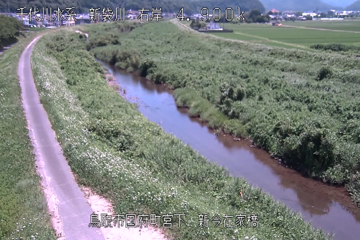 新今在家橋