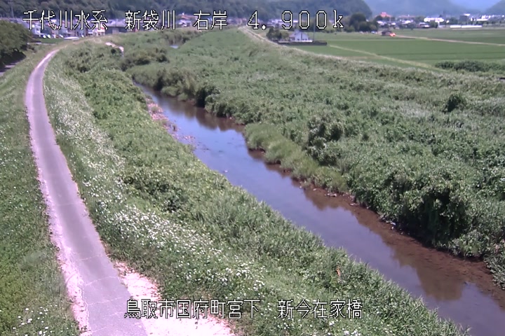 新今在家橋