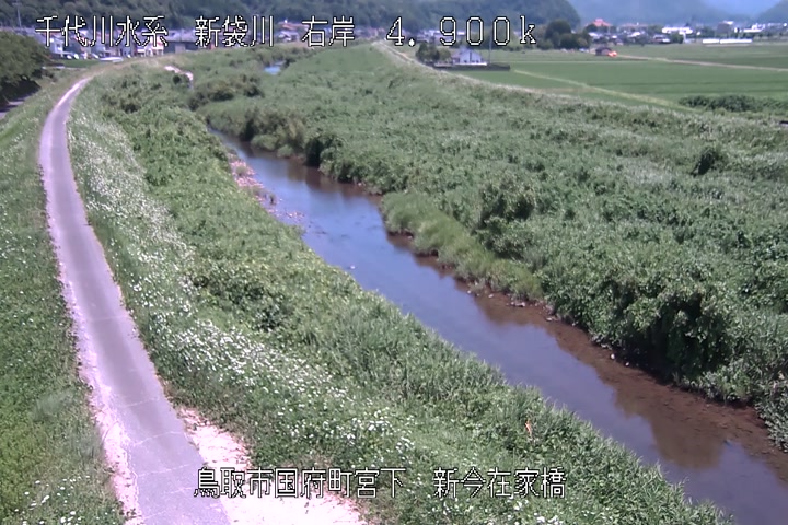 新今在家橋
