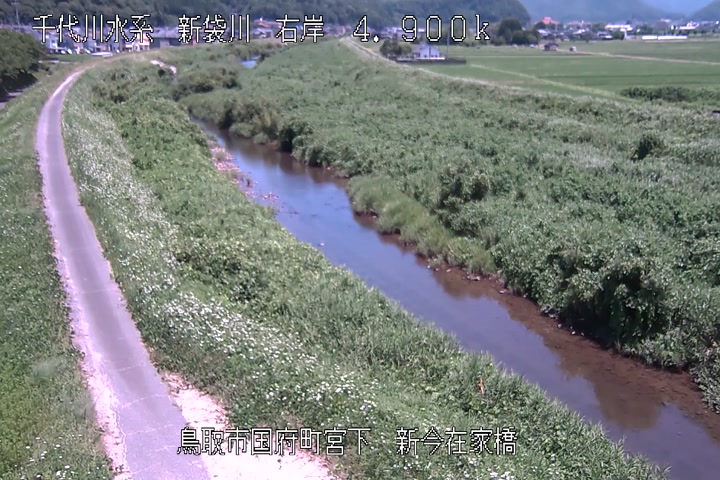 新今在家橋