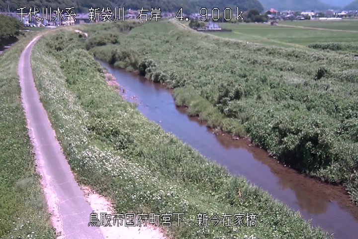 新今在家橋