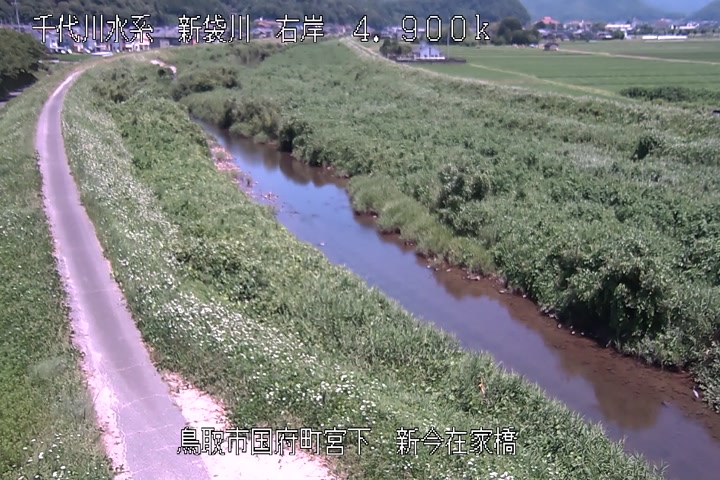 新今在家橋