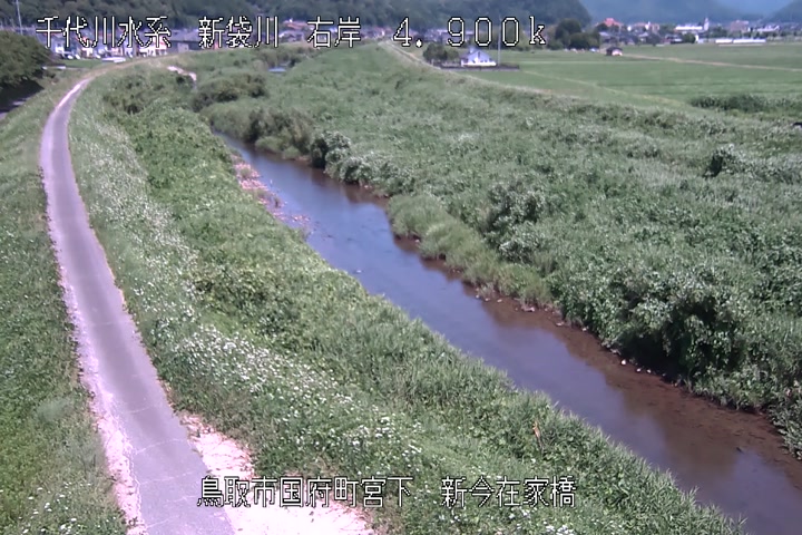 新今在家橋