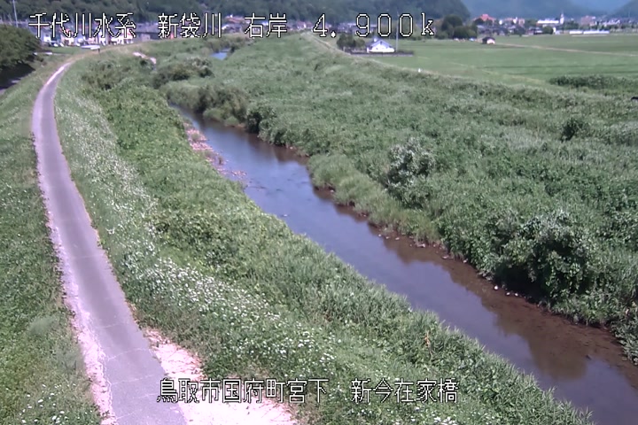 新今在家橋