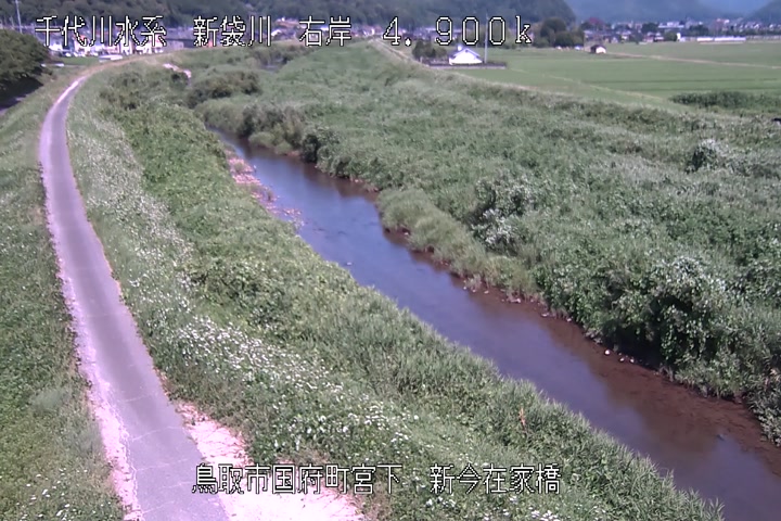 新今在家橋