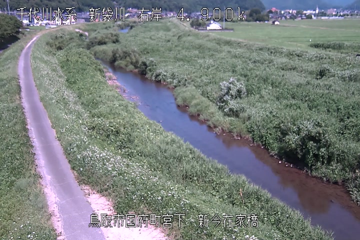 新今在家橋