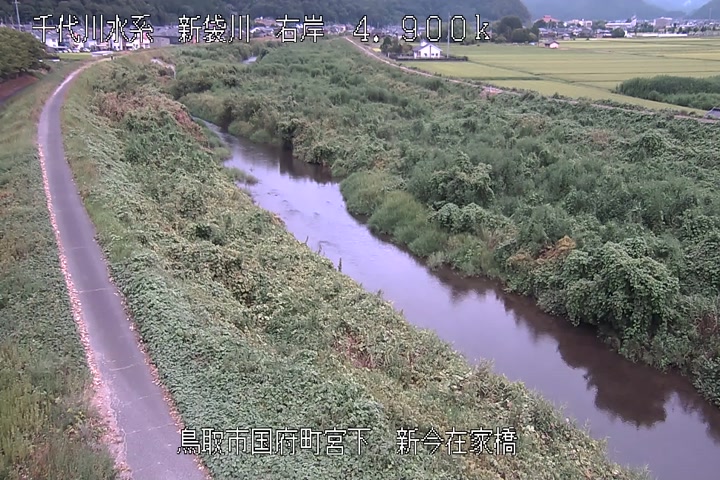 新今在家橋