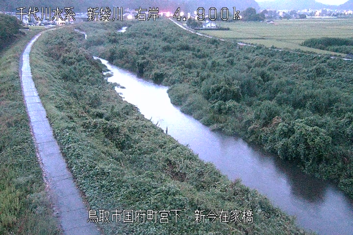 新今在家橋
