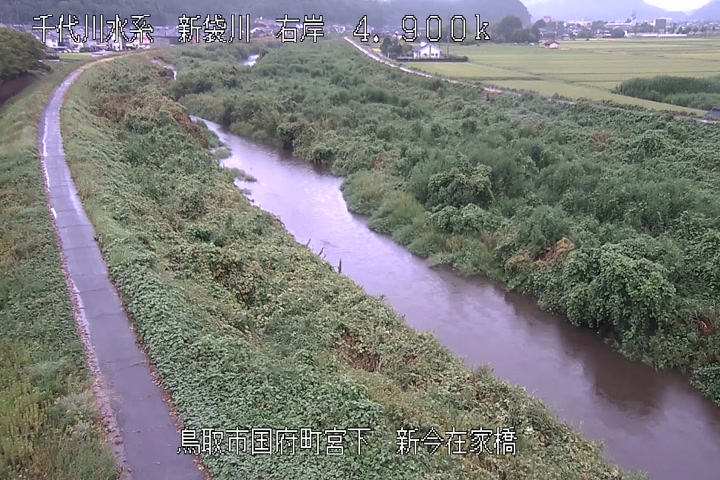 新今在家橋