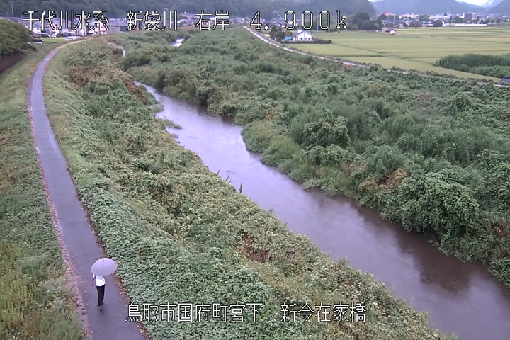 新今在家橋