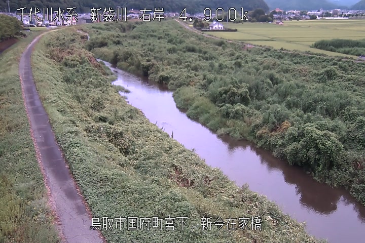 新今在家橋