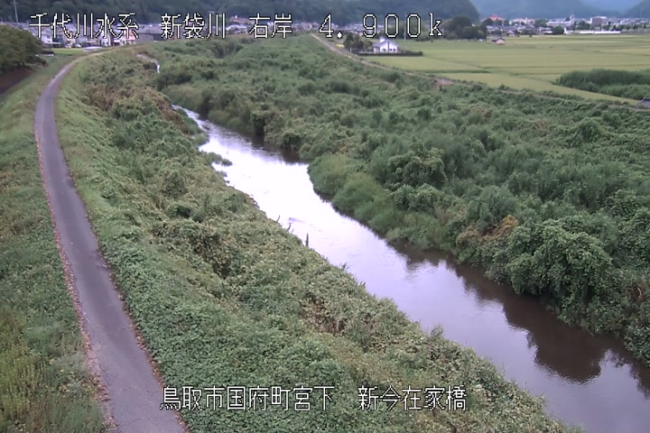 新今在家橋