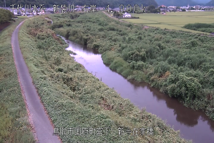 新今在家橋