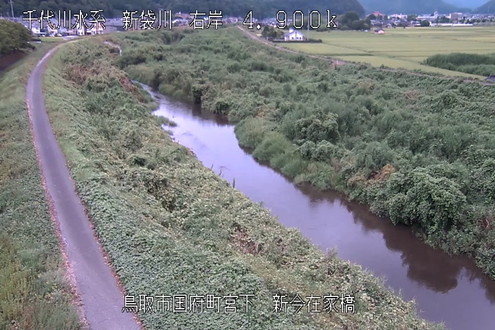 新今在家橋